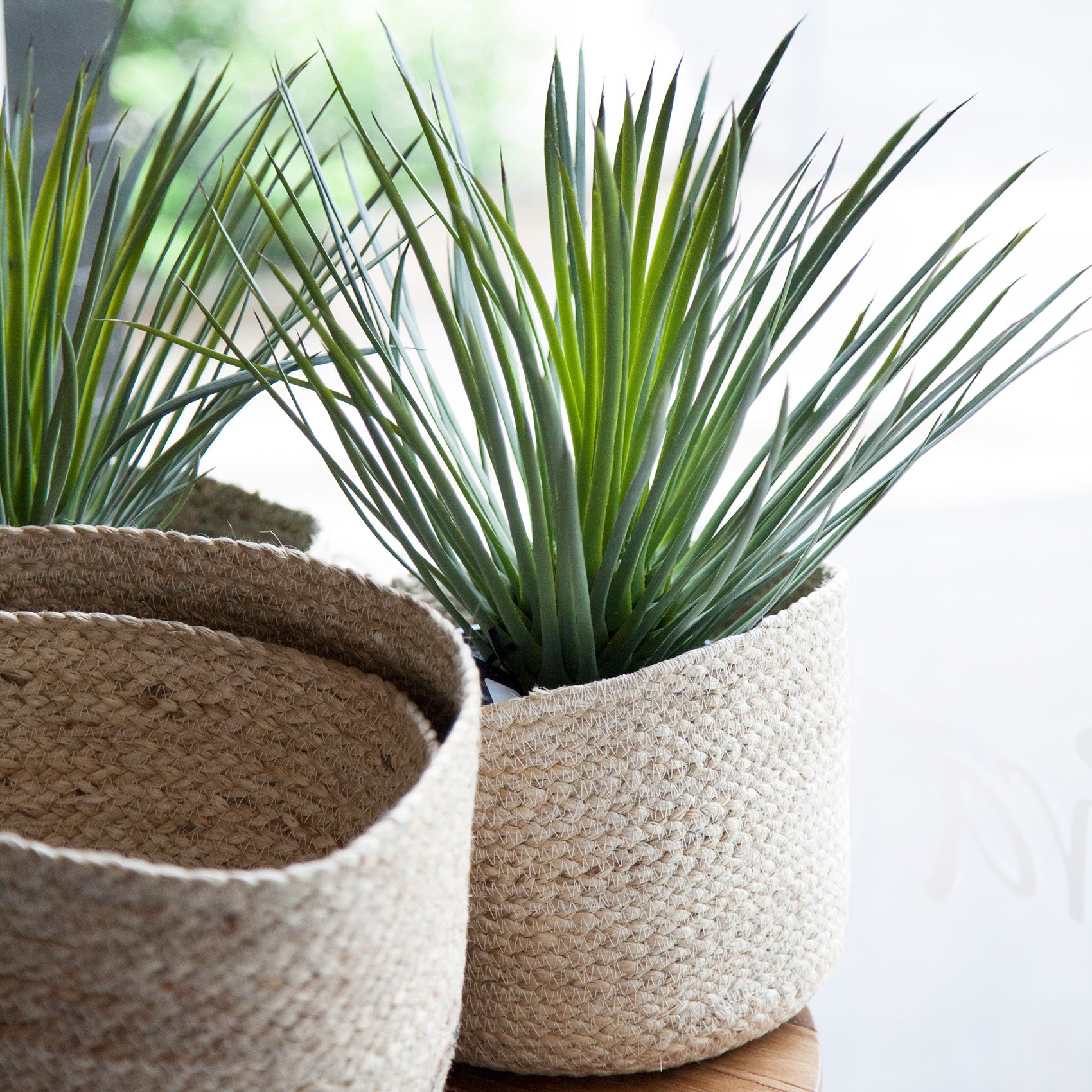 Spikey Grass Garden Pot