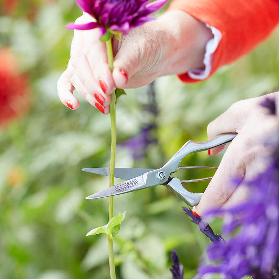 Sophie Conran Precision Secateurs