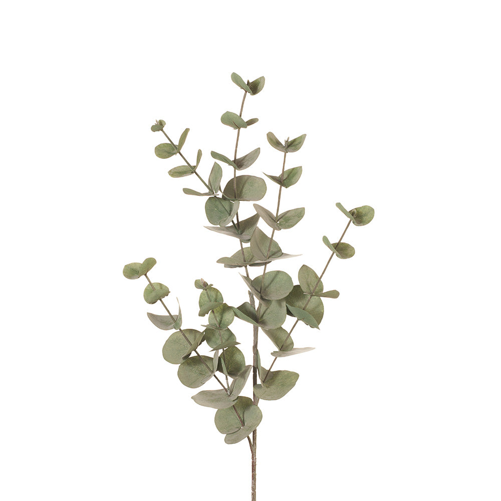 Artificial eucalyptus stem.