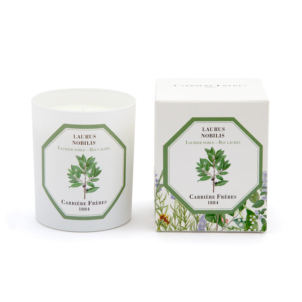 Carriere Freres Bay Laurel Candle