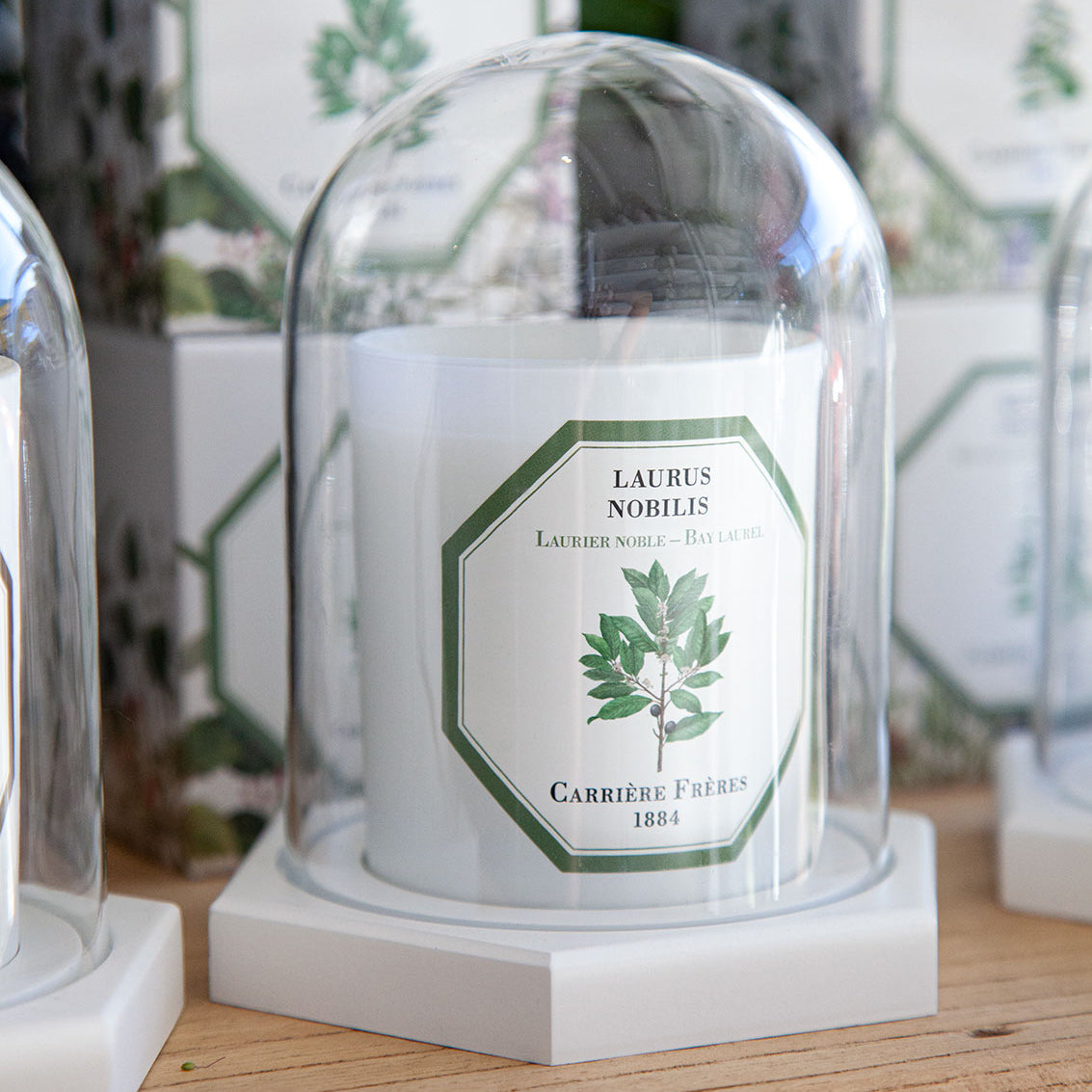 Carriere Freres Laurel Candle with candle dome.