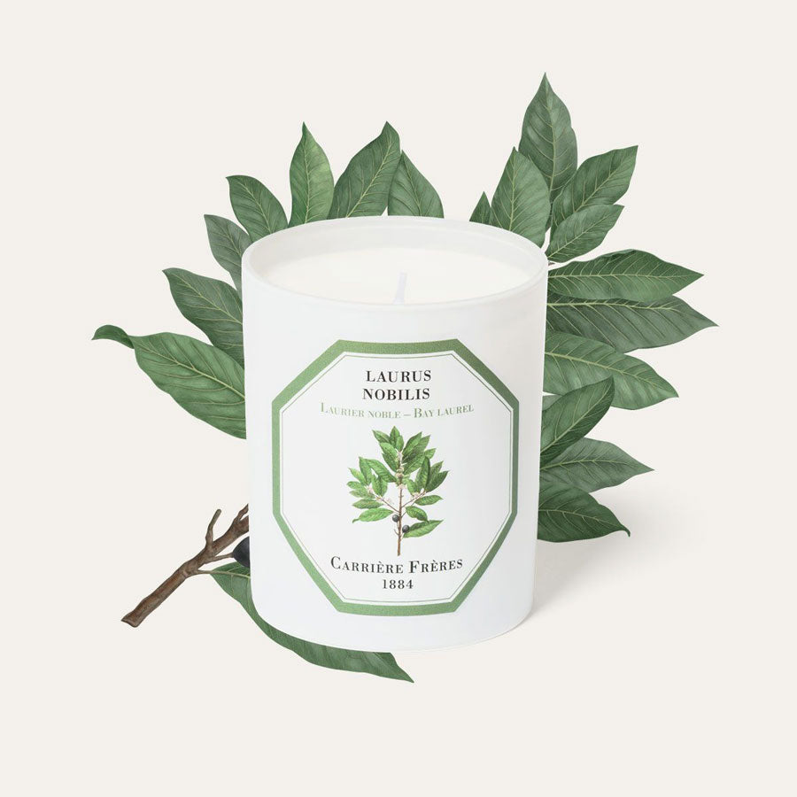 Carriere Freres Laurel Candle