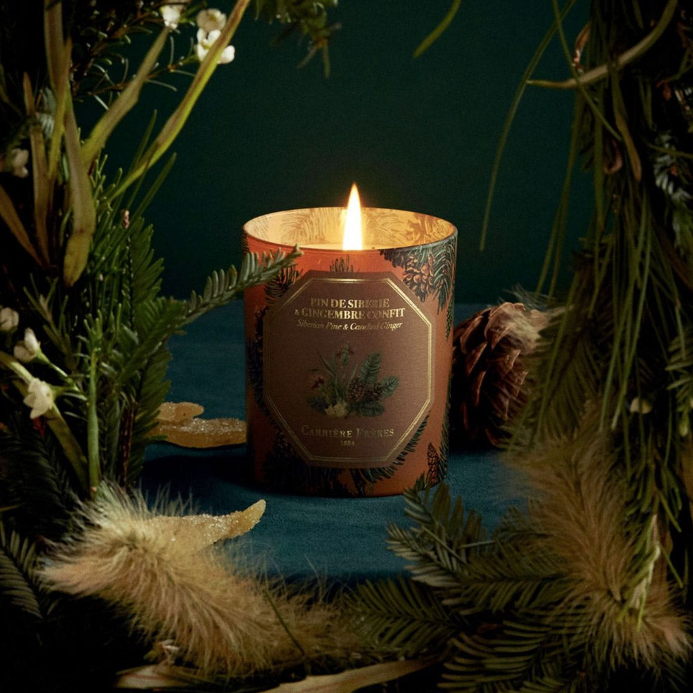 Carriere Freres Pine and Candied Ginger Christmas Candle.