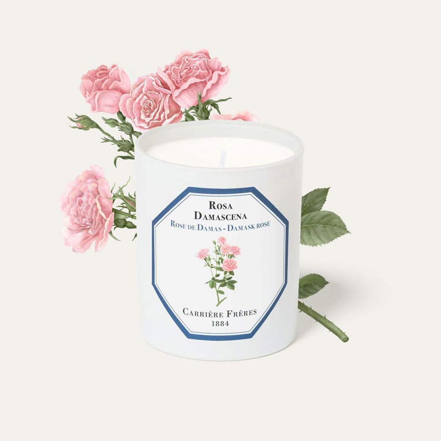 Carriere Freres Damask Rose candle with rose illustration.