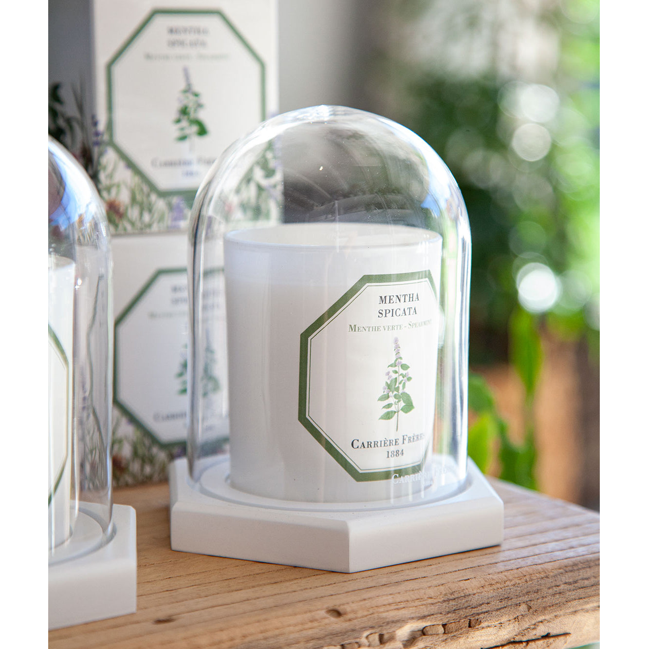 Carriere Freres Spearmint Candle in glass display dome.