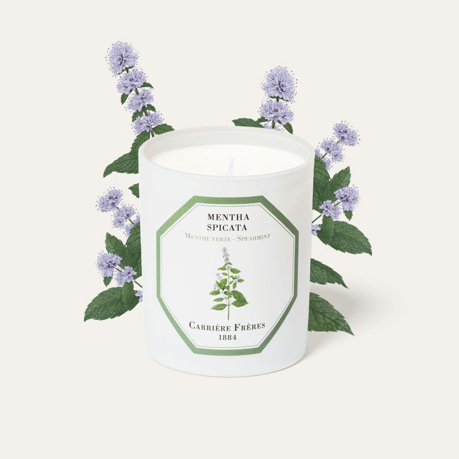 Carriere Freres Spearmint candle