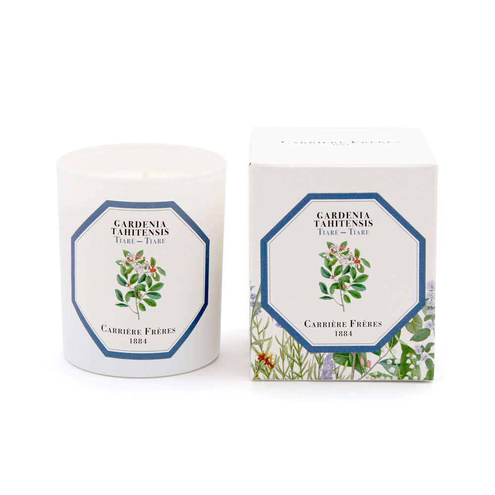 Carriere Freres Tiare Gardenia Candle with packaging.
