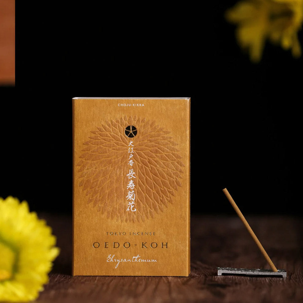 Japanese incense Chrysanthemum.