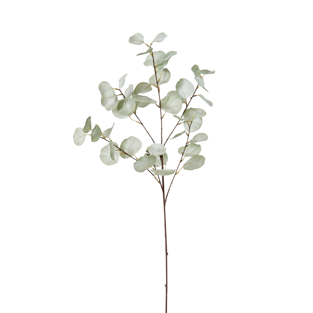 Large artificial eucalyptus stem.